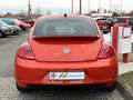 Volkswagen Beetle 1.4 TSI DSG Club/Bi-Xenon/Navi/Kamera/18´ Arancione - thumbnail 6