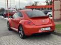 Volkswagen Beetle 1.4 TSI DSG Club/Bi-Xenon/Navi/Kamera/18´ Orange - thumbnail 5