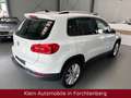 Volkswagen Tiguan Sport&Style 4M Nav Xenon Alcantara Kamera Alb - thumbnail 7