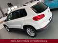 Volkswagen Tiguan Sport&Style 4M Nav Xenon Alcantara Kamera Alb - thumbnail 5