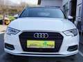 Audi A3 Cabrio 35 TFSI design Weiß - thumbnail 2