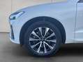 Volvo XC60 XC60 B4 AWD Plus-Dark Aut Leder Voll-LED Google-Ma Weiß - thumbnail 16
