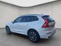 Volvo XC60 XC60 B4 AWD Plus-Dark Aut Leder Voll-LED Google-Ma Weiß - thumbnail 3