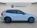 Volvo XC60 XC60 B4 AWD Plus-Dark Aut Leder Voll-LED Google-Ma Weiß - thumbnail 5