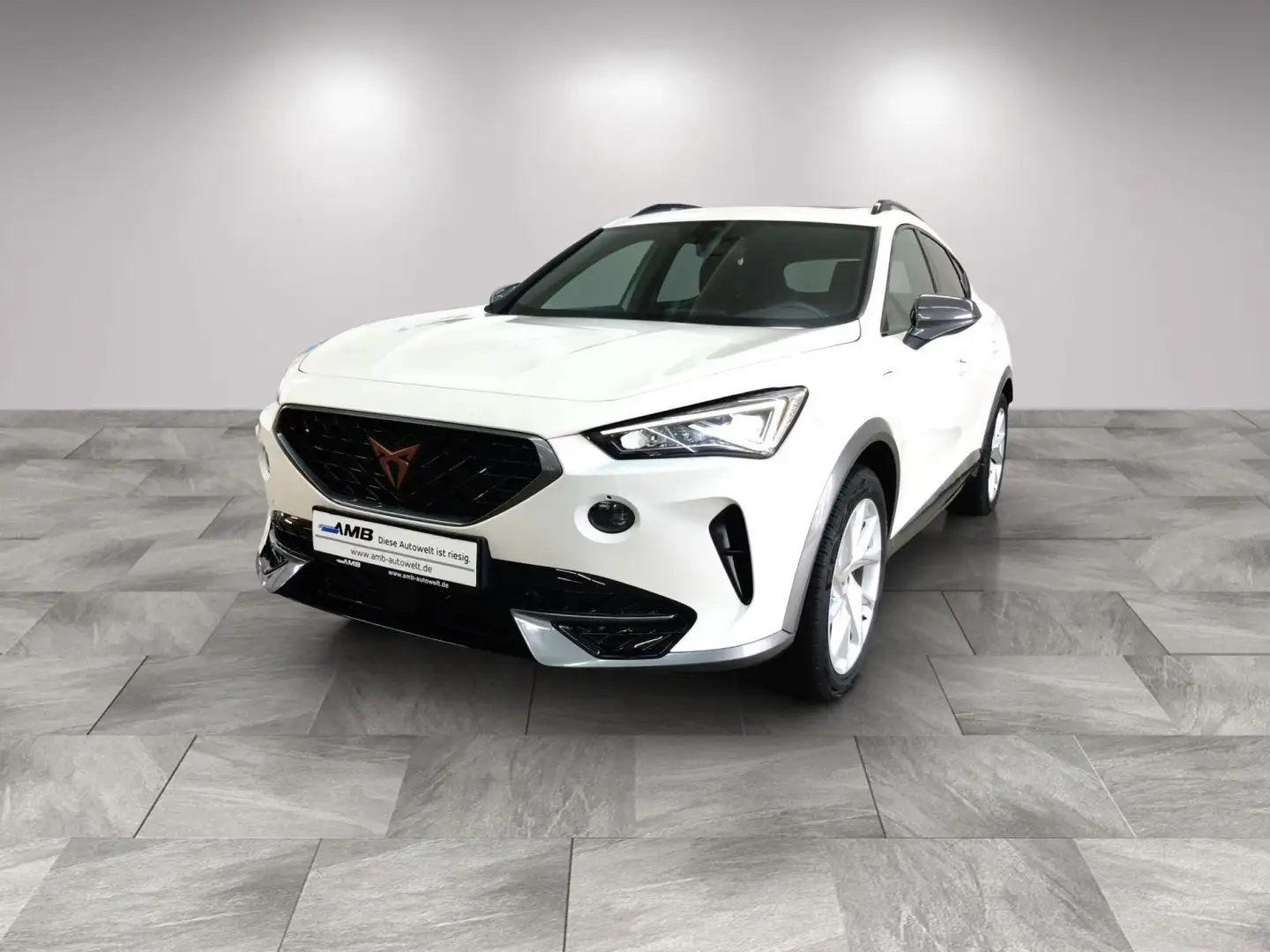 CUPRA Formentor eHYBRID AHK/LED/FAP:XL/Navi/Pano/RFKam Weiß - 2