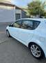 Kia Ceed / cee'd cee'd 1,6 CRDi Cool ECO DPF ISG Cool ECO Weiß - thumbnail 4