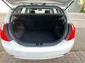 Kia Ceed / cee'd cee'd 1,6 CRDi Cool ECO DPF ISG Cool ECO Weiß - thumbnail 12