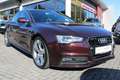 Audi A5 2.0 TFSI S-Line Navi Xenon Leder Violett - thumbnail 2