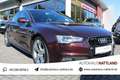 Audi A5 2.0 TFSI S-Line Navi Xenon Leder Violett - thumbnail 1