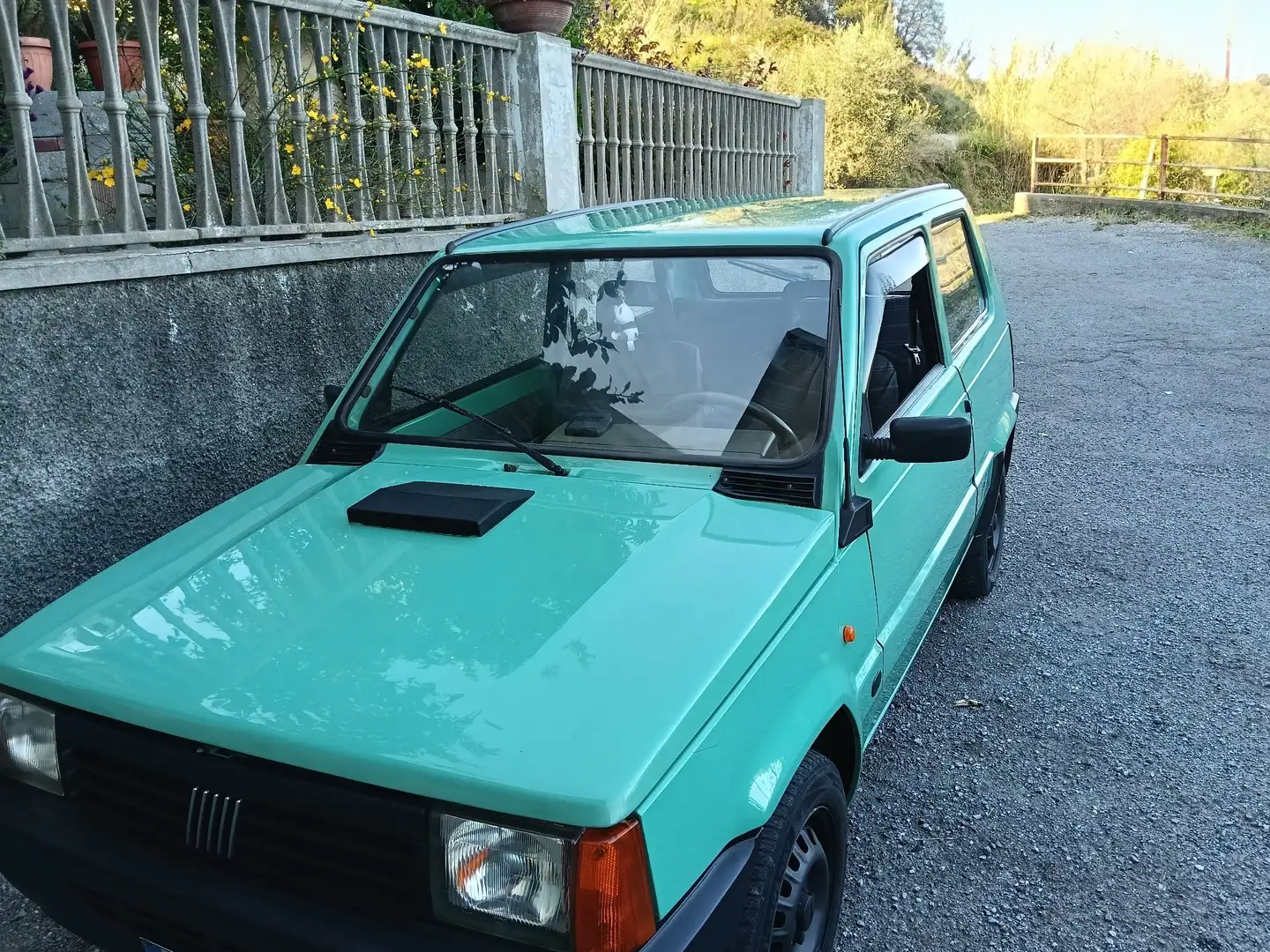 Fiat Panda 1.1 Young - 2