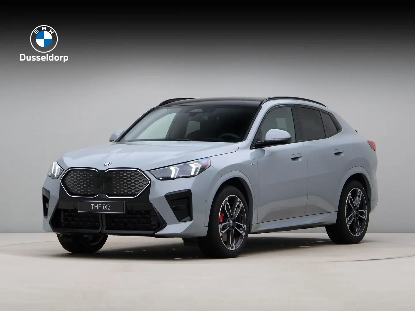 BMW iX2 eDrive20 67kWh Gri - 1