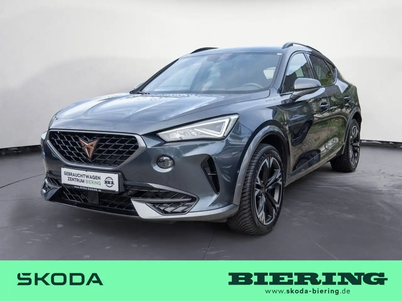 Cupra Formentor 1.5 TSI NAVI KAM LED ACC KLIMA PDC SHZ