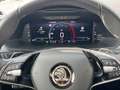Skoda Superb Combi 2.0TDI Style Matrix/Navi/ACC/Kamera/App Silber - thumbnail 10