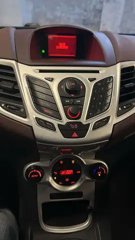 Ford Fiesta view 15