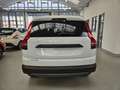 Dacia Jogger Jogger 1.0 tce Expression Gpl 100cv 7 posti Bianco - thumbnail 5