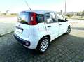 Fiat Panda Panda III 2012 1.2 Easy 69cv E6 Weiß - thumbnail 3