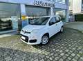 Fiat Panda Panda III 2012 1.2 Easy 69cv E6 Bianco - thumbnail 1