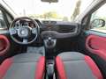 Fiat Panda Panda III 2012 1.2 Easy 69cv E6 Bianco - thumbnail 8