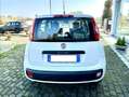 Fiat Panda Panda III 2012 1.2 Easy 69cv E6 Bianco - thumbnail 4