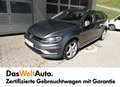 Volkswagen Golf TDI 4MOTION Grau - thumbnail 1