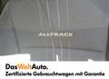 Volkswagen Golf TDI 4MOTION Grau - thumbnail 11