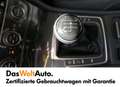 Volkswagen Golf TDI 4MOTION Grau - thumbnail 9