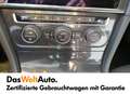 Volkswagen Golf TDI 4MOTION Grau - thumbnail 8