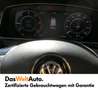 Volkswagen Golf TDI 4MOTION Grau - thumbnail 6