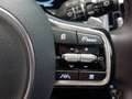 Kia Sorento Pace 1.6 PHEV 4WD AT Zwart - thumbnail 20