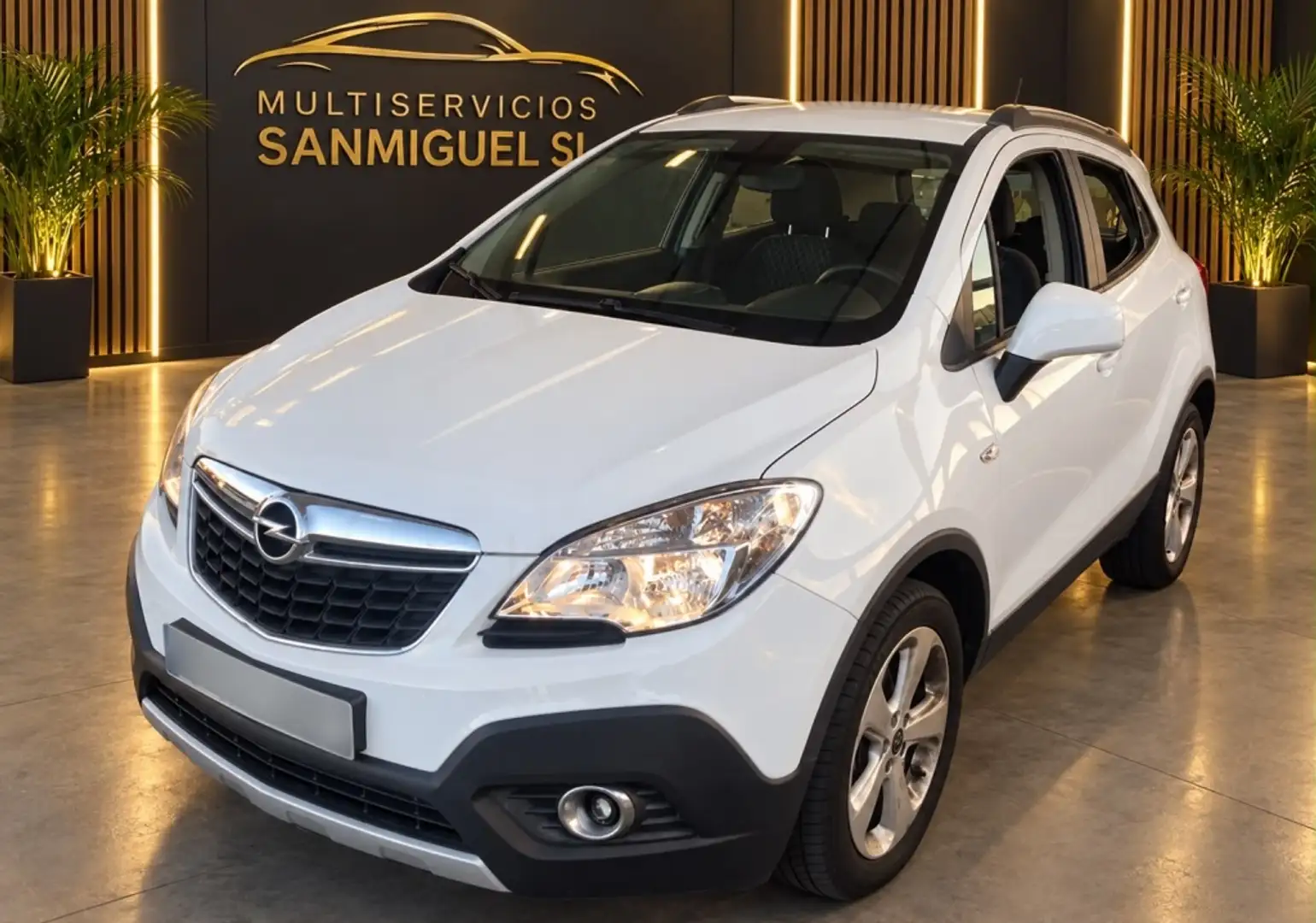Opel Mokka 1.7CDTi S&S Excellence 4x4 - 1