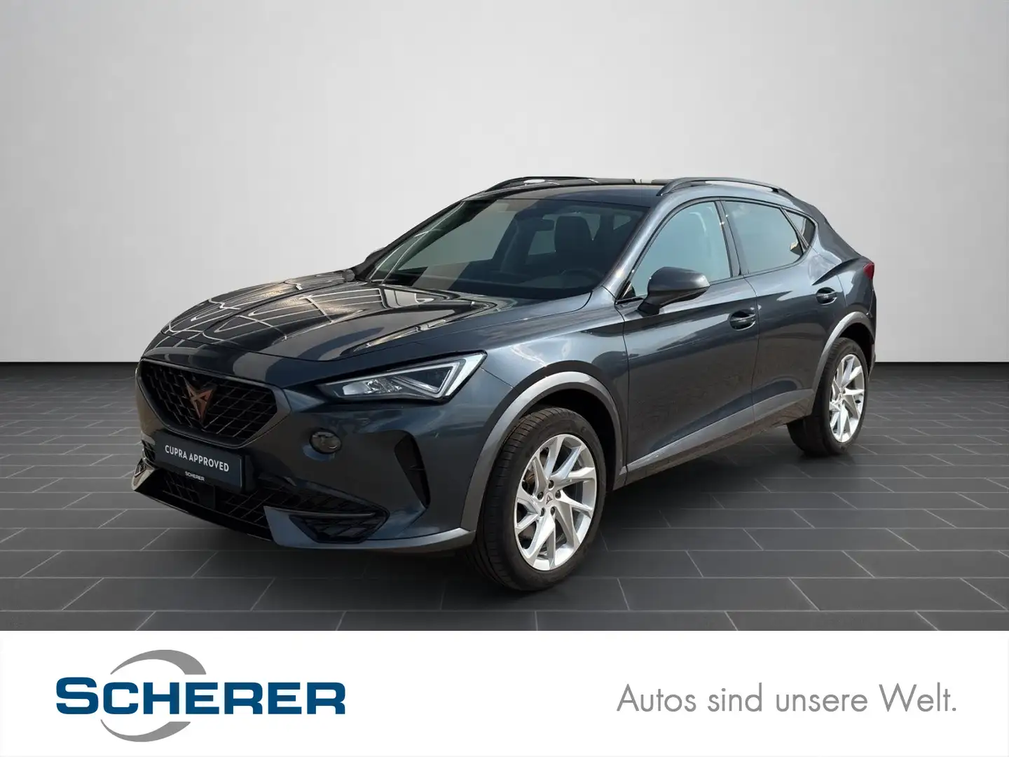 CUPRA Formentor 2.0 TDI LED CARPLAY PDC hi. SHZ ACC Grau - 1