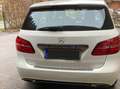 Mercedes-Benz B 220 B 220 4MATIC Aut. Weiß - thumbnail 5