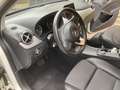 Mercedes-Benz B 220 B 220 4MATIC Aut. Weiß - thumbnail 19