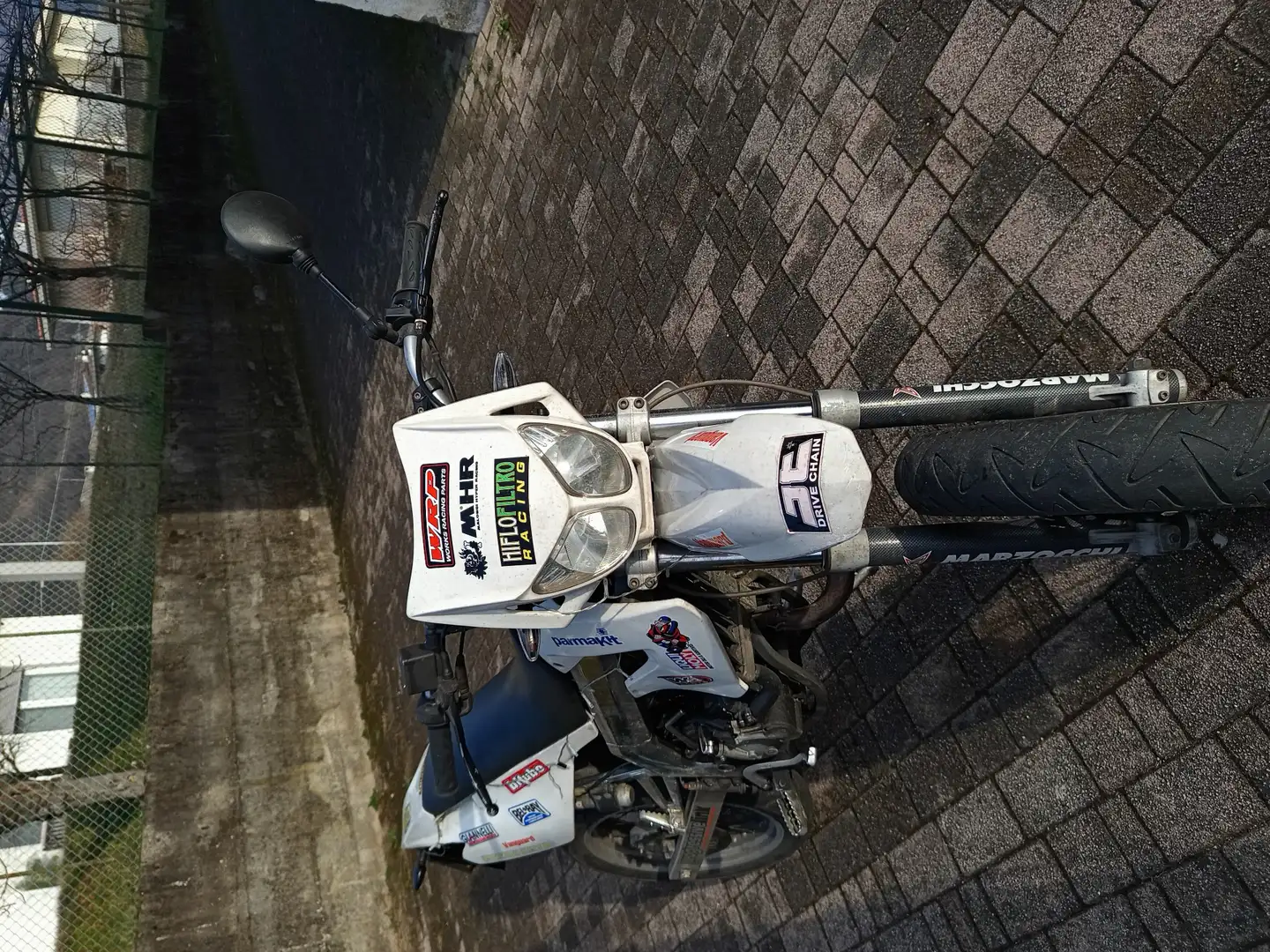 Derbi Bianco - 2