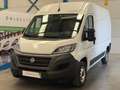 Fiat Ducato 35 L2H2 Nat.Pow(100kW) E6d-Temp Semiacr. Blanco - thumbnail 1
