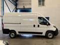 Fiat Ducato 35 L2H2 Nat.Pow(100kW) E6d-Temp Semiacr. Blanco - thumbnail 4