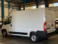 Fiat Ducato 35 L2H2 Nat.Pow(100kW) E6d-Temp Semiacr. Blanco - thumbnail 7
