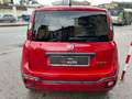 Fiat Panda CROSS1.0 firefly hybrid MY24 NEOPAT. PROMO FIN Rood - thumbnail 5