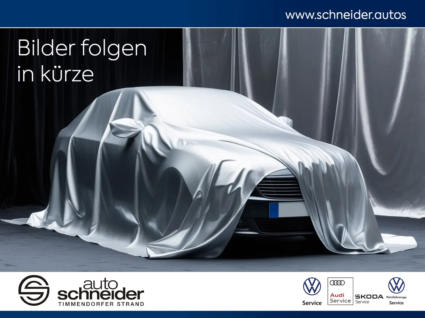 Volkswagen Tiguan Tiguan 1.5 TSI Life Rückfahrk. Climatronic DAB L Gris - 1