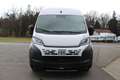 Fiat Ducato KW L2H2 120 Klima Radio Kamera Park Temp... Weiß - thumbnail 6