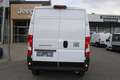 Fiat Ducato KW L2H2 120 Klima Radio Kamera Park Temp... Weiß - thumbnail 11