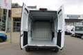 Fiat Ducato KW L2H2 120 Klima Radio Kamera Park Temp... Weiß - thumbnail 13