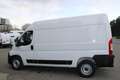 Fiat Ducato KW L2H2 120 Klima Radio Kamera Park Temp... Weiß - thumbnail 10