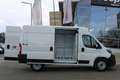 Fiat Ducato KW L2H2 120 Klima Radio Kamera Park Temp... Weiß - thumbnail 18