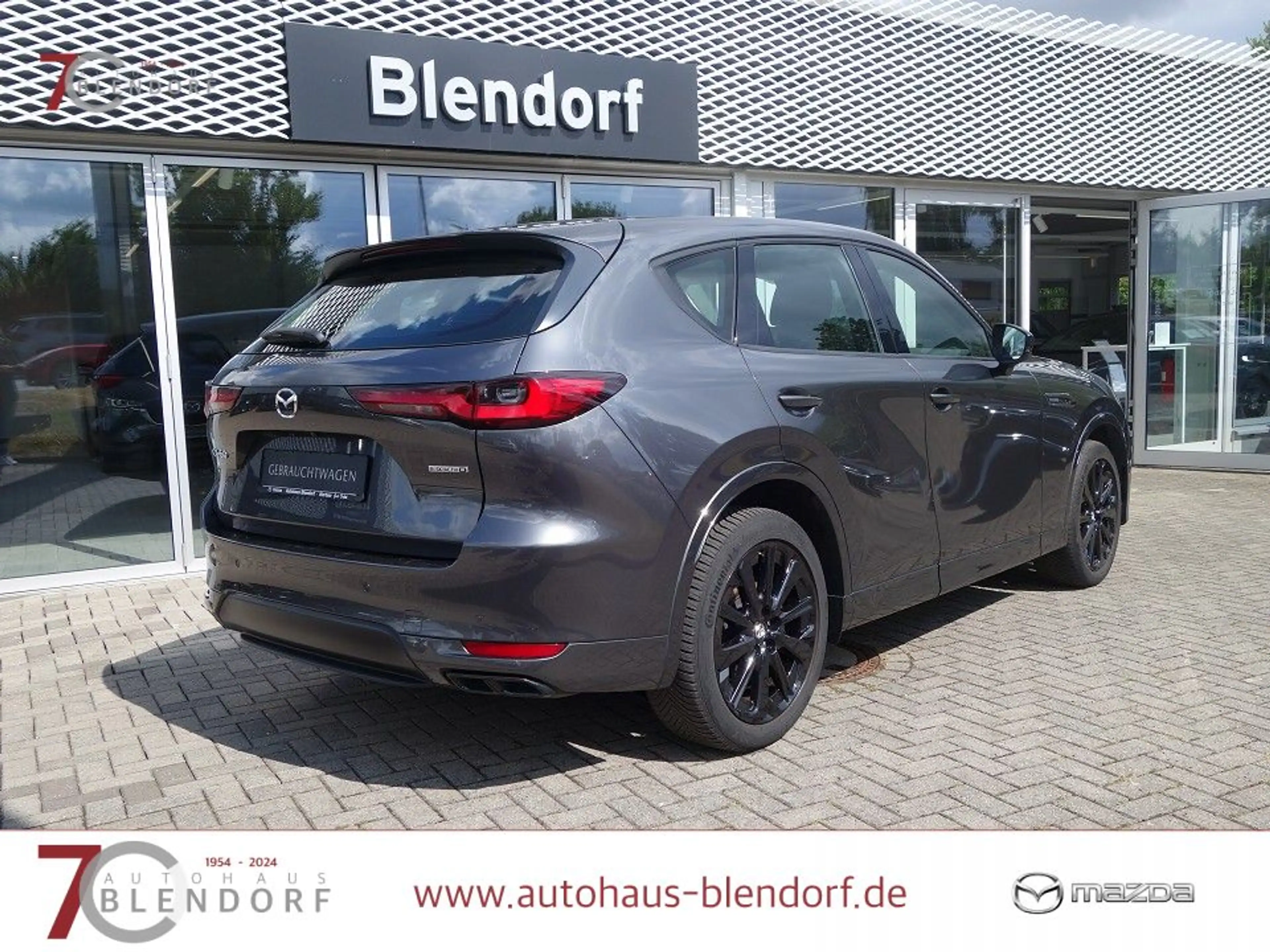 Mazda CX-60 3,3 D HOMURA 200 Leder|Kamera|Navi — photo 8