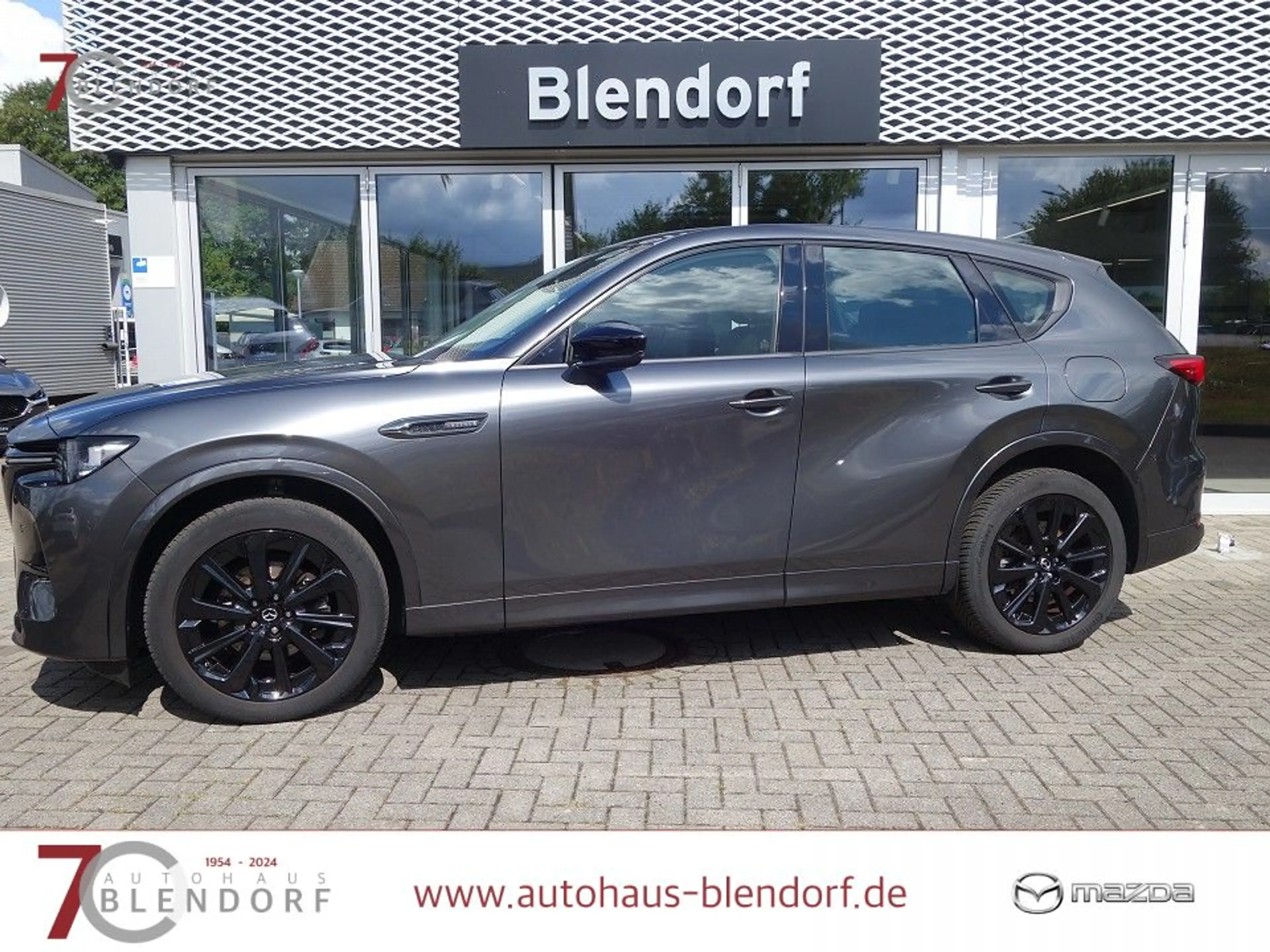 Mazda CX-60 3,3 D HOMURA 200 Leder|Kamera|Navi — photo 6