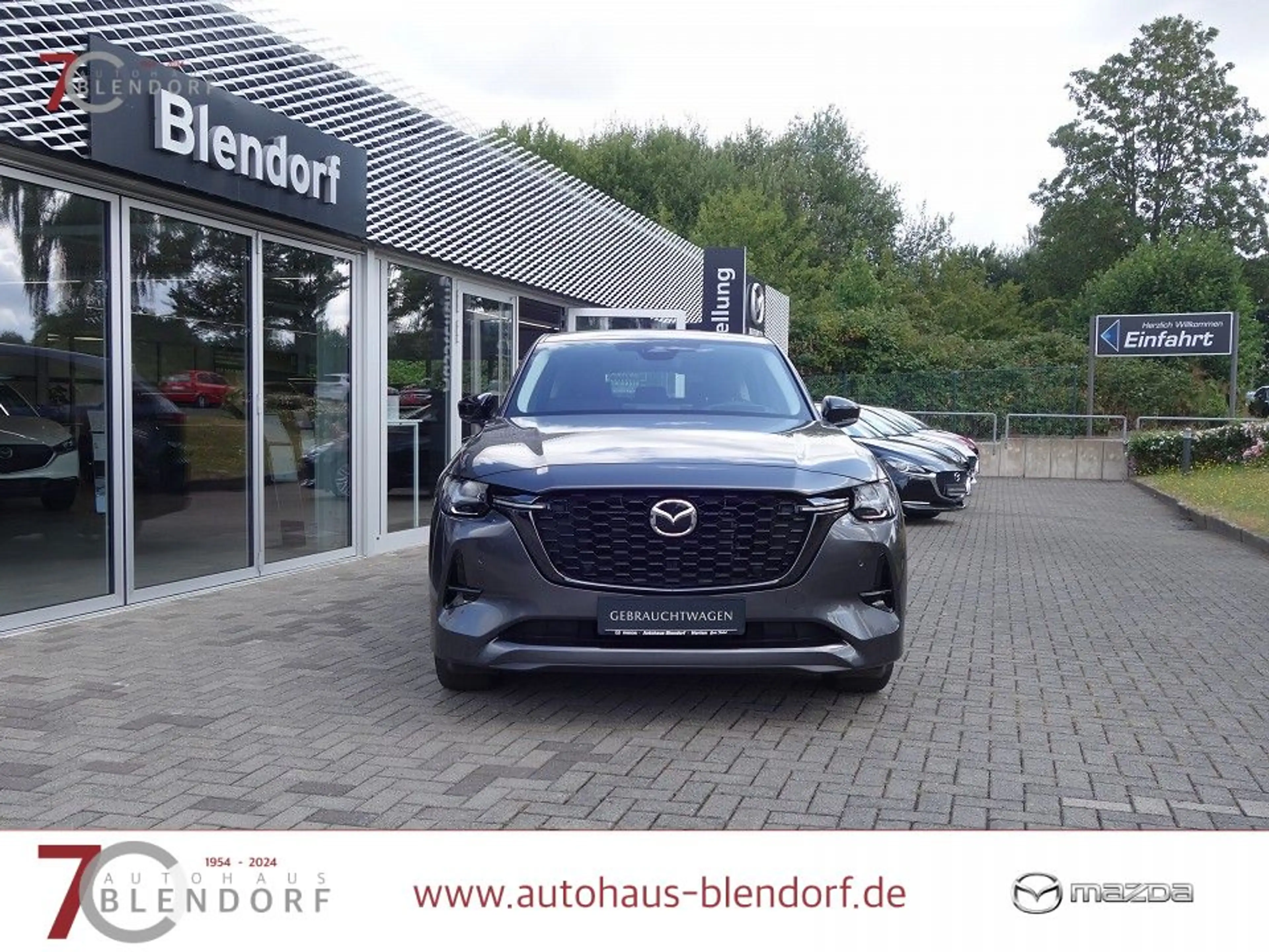 Mazda CX-60 3,3 D HOMURA 200 Leder|Kamera|Navi — photo 4