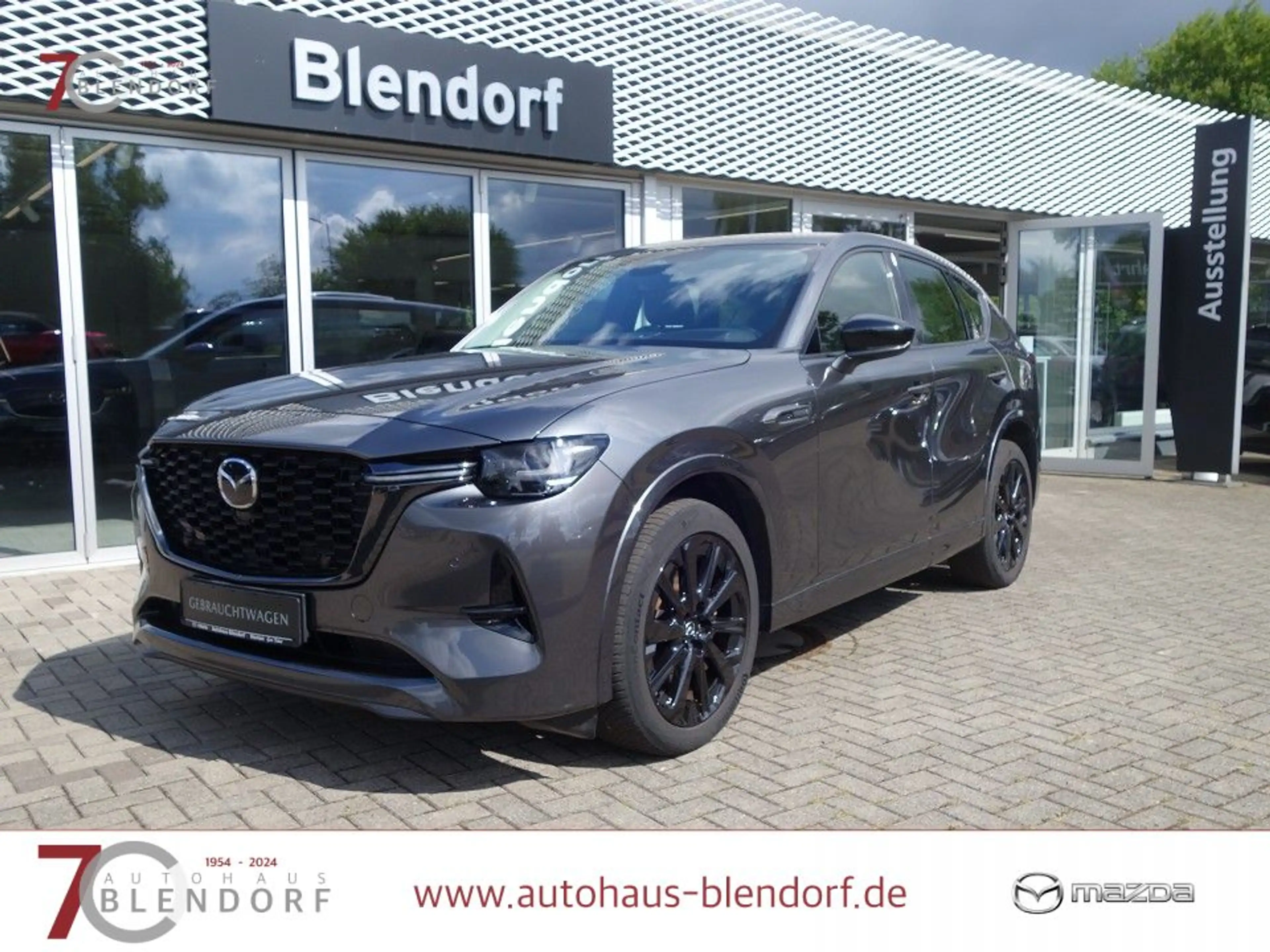 Mazda CX-60 3,3 D HOMURA 200 Leder|Kamera|Navi — photo 5