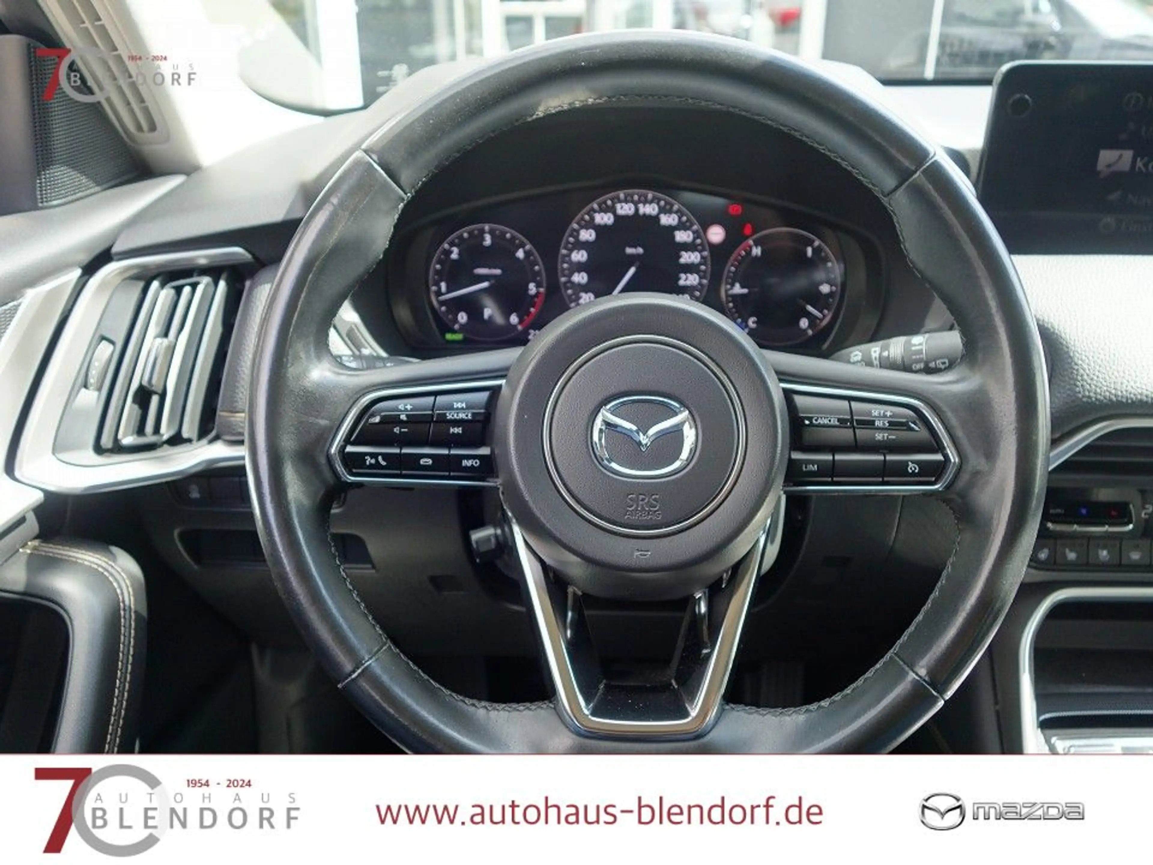Mazda CX-60 3,3 D HOMURA 200 Leder|Kamera|Navi — photo 11