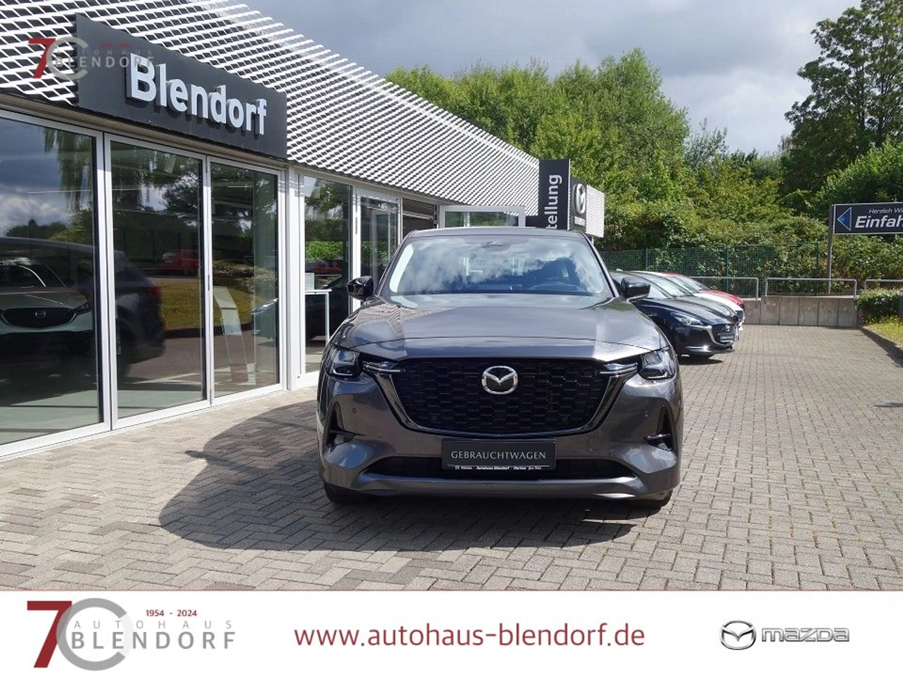 Mazda CX-60 3,3 D HOMURA 200 Leder|Kamera|Navi — photo 7